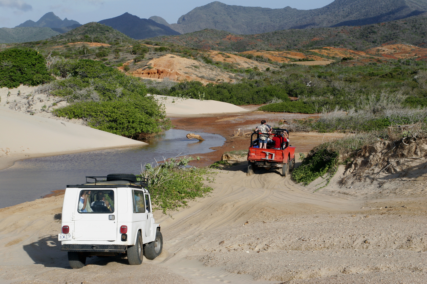 safari_tour
