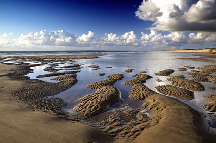 Wattenmeer Ostfriesland