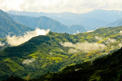 Venezuela Regenwald