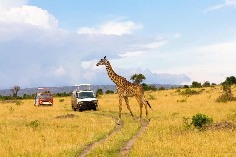 Safari in Afrika